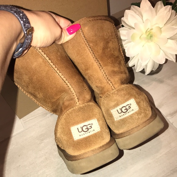UGG Australia Chestnut Classic Short Boots - Picture 2 of 8